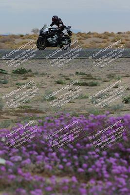 media/Jan-14-2023-SoCal Trackdays (Sat) [[497694156f]]/Turn 14 Exit Bloomig (145pm)/